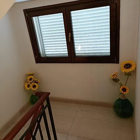 Trieste House