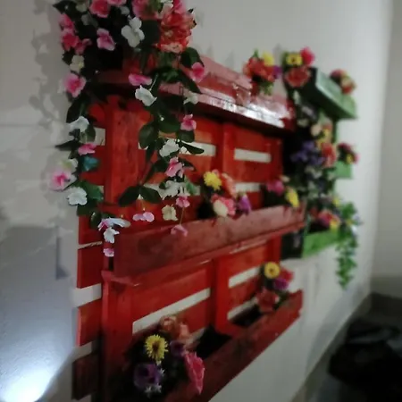 Trieste House