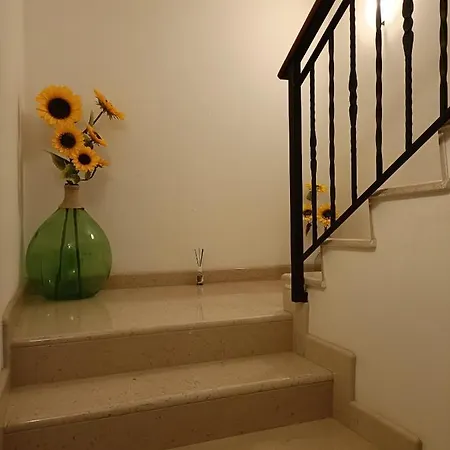 Trieste House Дом отдыха